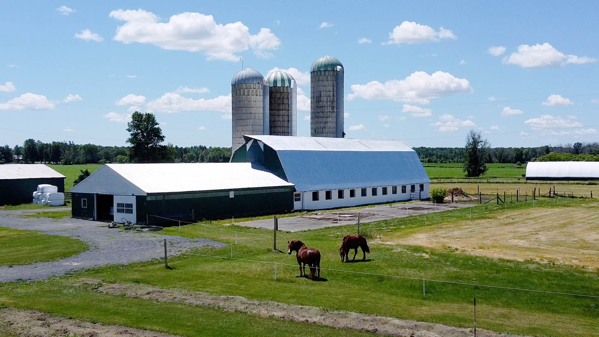 Ottawa farm for sale
